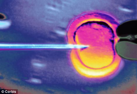 英科学家成功从皮肤细胞提取干细胞，而不采取倍受争议的胚胎细胞提取方法